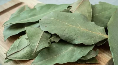 1716722926-folhas-de-louro-orig-1