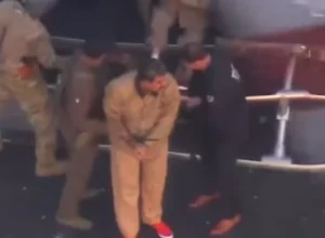 1_image--11--62901040