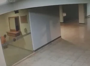 1_nu-66499800