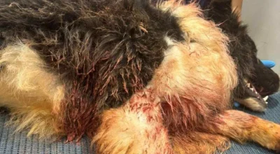 1_whatsapp-image-2025-11-08-at-15-14-13-60720991