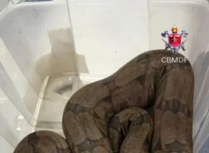 1_whatsapp-image-2026-03-06-at-08-40-57-64982194