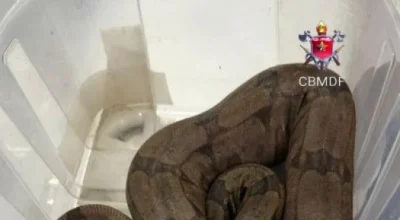 1_whatsapp-image-2026-03-06-at-08-40-57-64982194