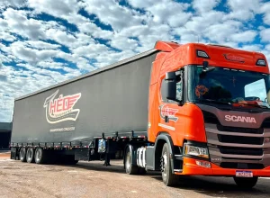 Theo-Transportes (1)