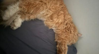 WhatsApp-Image-2024-03-19-at-12.48.11-3-1067x800-1