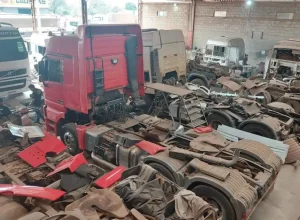 WhatsApp-Image-2024-08-08-at-09.38.47