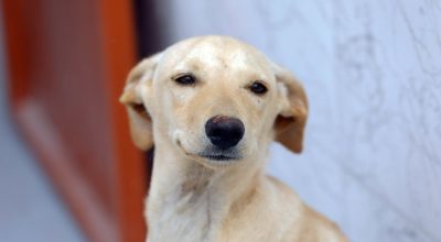 WhatsApp Image 2025-12-27 at 10.04.27 (1)