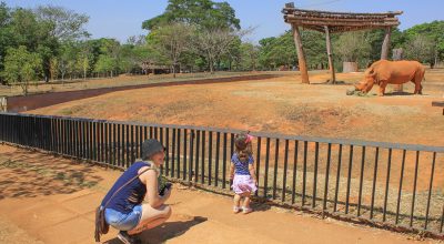 Zoo-Foto-Tony-Oliveira