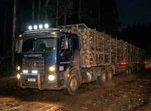 caminhao-estrada-noite-tritrem