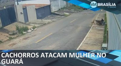 hq720 - 2026-02-13T210138.088