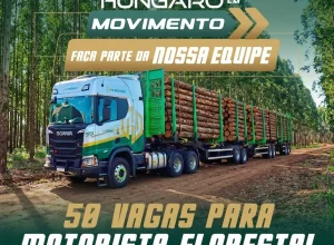 hungaro-transportes (1)