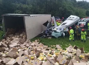 whatsapp_image_2026-01-06_at_18.19.54