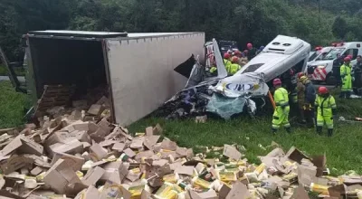 whatsapp_image_2026-01-06_at_18.19.54